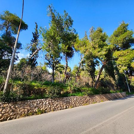 Cozy Apartment For 4 In Kolonaki, Lycabettus Athen Eksteriør bilde