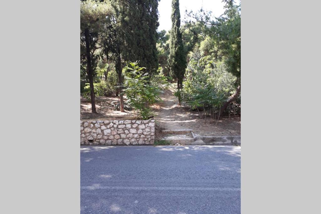 Cozy Apartment For 4 In Kolonaki, Lycabettus Athen Eksteriør bilde